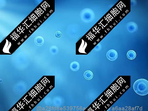 上海干细胞一针多少钱多久打一针